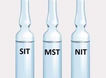 Кодирование методом SIT MST в Александрове